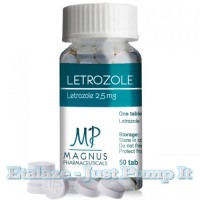 Letrozole 2,5mg by Magnus Pharma