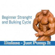 Beginner Strength and Bulking Cycle