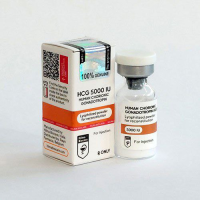 HCG 5000 IU par Hilma Biocare
