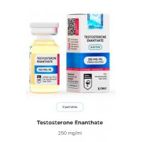 Testosterone Enanthate 250 mg/ml by Hilma Biocare