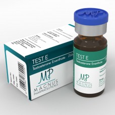 Test E Magnus Pharma 10ml [250mg/ml]