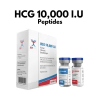 HCG 10,000 UI by XT Labs – Human Chorionic Gonadotropin (2 mL)