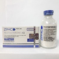 Testosterone AQ 100mg 30ml by ZPHC