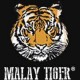 Malay Tiger