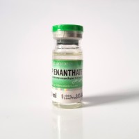 Enanthate 250mg/ml, 10 ml by SP Laboratories