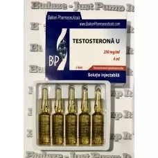 Testosterona Undecanoate by Balkan Pharmaceuticals