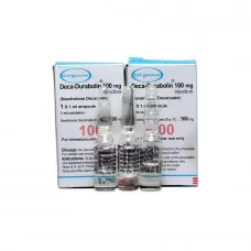 Deca Durabolin Organon 1 ml