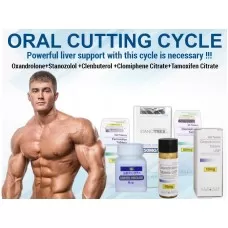 Powerful ORAL CUTTING CYCLE Powerful ORAL CUTTING CYCLE