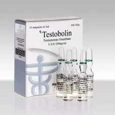 Testobolin Testosterone Enanthate 250mg/ml 10 Ampoules