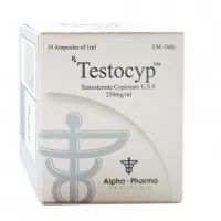 Testocyp Testosterone Cypionate USP 250mg 10 Ampoules