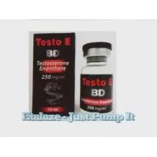 Testo E BD Testosterone Enanthate 250mg/ml, 10ml by Black Dragon
