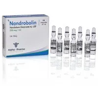 Nandrobolin Nandrolone Decanoate 250mg/ml 10 Ampoules