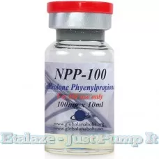 NPP 100 10ml by Global Anabolic
