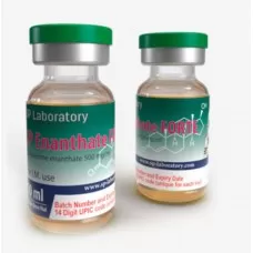 Enanthate forte 500mg/ml, 10 ml by SP Laboratories