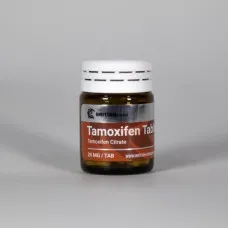 Tamoxifen Tablets by British Dragon